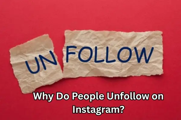 “Why Do People Unfollow on Instagram,” or asking yourself “why do I lose followers on Instagram